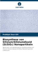 Biosynthese von Silizium/Siliziumdioxid (Si/SiO ) Nanopartikeln