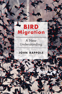 Bird Migration: A New Understanding - Rappole, John H