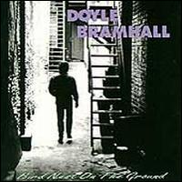 Bird Nest on the Ground - Doyle Bramhall