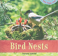 Bird Nests