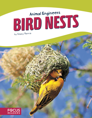 Bird Nests - Tornio, Stacy