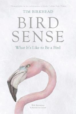 Bird Sense: What It's Like to Be a Bird - Birkhead, Tim