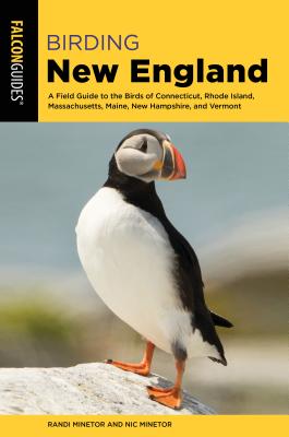 Birding New England: A Field Guide to the Birds of Connecticut, Rhode Island, Massachusetts, Maine, New Hampshire, and Vermont - Minetor, Randi, and Minetor, Nic