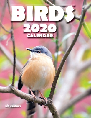 Birds 2020 Calendar (UK Edition) - Wall Publishing Uk