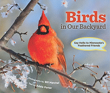 Birds in Our Backyard: Say Hello to Minnesota's Feathered Friends