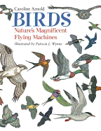 Birds: Nature's Magnificent Flying Machines