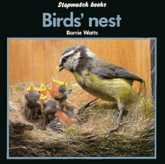 Birds' Nest