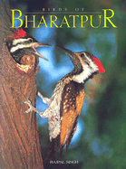 Birds of Bharatpur