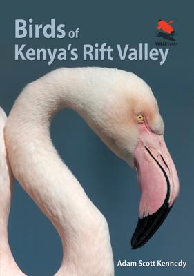 Birds of Kenya's Rift Valley - Kennedy, Adam Scott