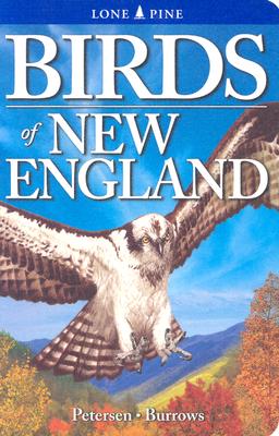 Birds of New England - Petersen, Wayne, and Burrows, Roger