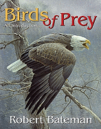 Birds of Prey: An Introduction