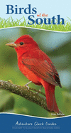 Birds of the South: Your Way to Easily Identify Backyard Birds