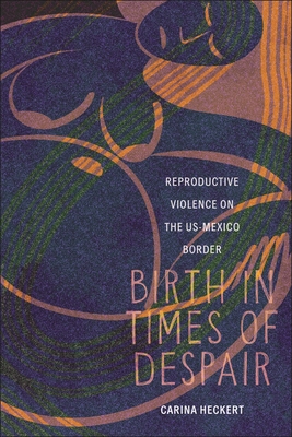 Birth in Times of Despair: Reproductive Violence on the Us-Mexico Border - Heckert, Carina