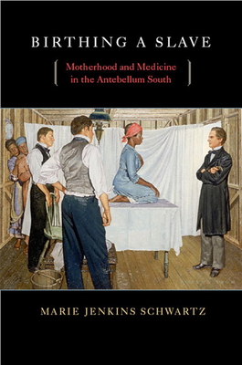 Birthing a Slave: Motherhood and Medicine in the Antebellum South - Schwartz, Marie Jenkins