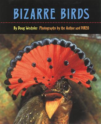 Bizarre Birds - Wechsler, Doug