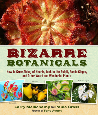 Bizarre Botanicals: How to Grow String-Of-Hearts, Jack-In-The-Pulpit, Panda Ginger, and Other Weird and Wonderful Plants - Mellichamp, Larry, and Gross, Paula
