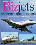 Bizjets: Executive Jets in Colour