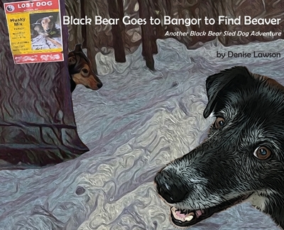 Black Bear Goes to Bangor to Find Beaver - 