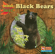 Black Bears