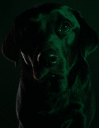 Black Dog Black Pages Notebook: Stylish Labrador Retriever Black Paper Journal to Write in - Blank Lined Canine Dog Notebook - Use with Gel & Ink Pens, Metallic Markers, or Colored Pencils - Blank Lined Composition Notebook with Cute Pet Animal for Notes