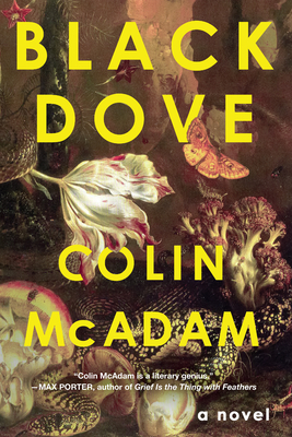 Black Dove - McAdam, Colin