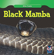 Black Mamba