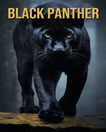 Black Panther: Fun and Interesting Facts and Pictures About Black Panther
