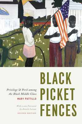Black Picket Fences - Pattillo, Mary