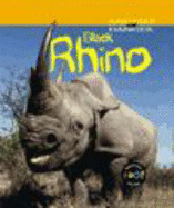 Black Rhino