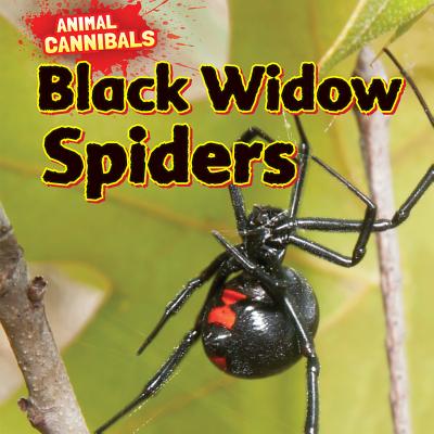 Black Widow Spiders - Hesper, Sam