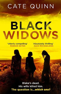 Black Widows: The atmospheric and addictive Mormon murder mystery - Quinn, Cate