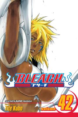 Bleach, Vol. 42 - Kubo, Tite