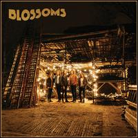 Blossoms - Blossoms