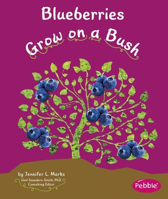 Blueberries Grow on a Bush - Schuh, Mari
