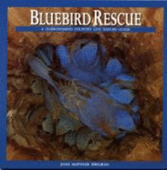 Bluebird Rescue: Country Life Nature Guide
