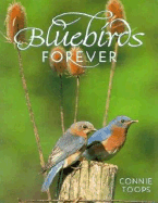 Bluebirds Forever - Toops, Connie