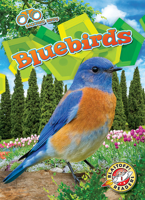 Bluebirds - Barnes, Rachael
