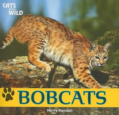Bobcats - Randall, Henry