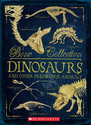 BONE COLLECTION: DINOSAURS - Colson, Rob