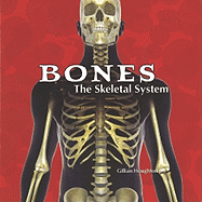 Bones: The Skeletal System