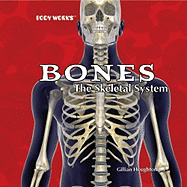 Bones: The Skeletal System
