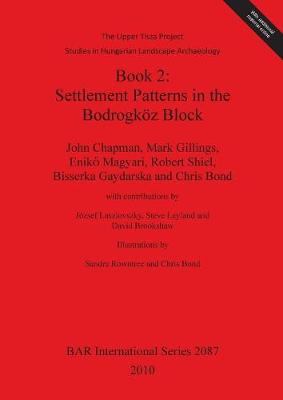 Book 2: Settlement Patterns in the Bodrogkz Block - Chapman, John, Dr., and Gillings, Mark, and Magyari, Enik 