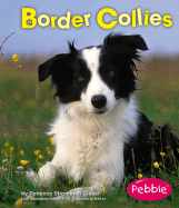 Border Collies