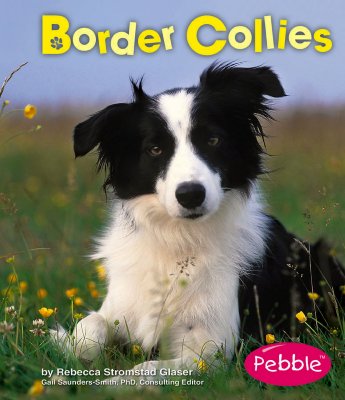 Border Collies - Glaser, Rebecca Stromstad