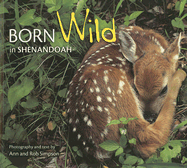 Born Wild in Shenandoah - Simpson, Ann (Photographer), and Simpson, Rob (Photographer)