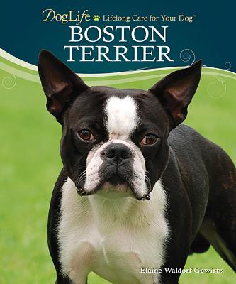 Boston Terrier - Waldorf Gewirtz, Elaine