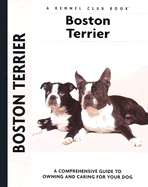 Boston terrier