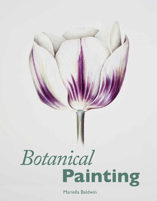 Botanical Painting - Baldwin, Mariella