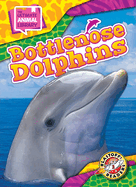 Bottlenose Dolphins