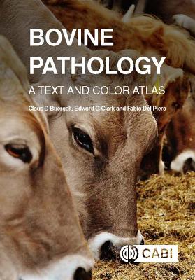 Bovine Pathology: A Text and Color Atlas - Buergelt, Claus D, Dr., and Clark, Edward G, Dr., and Del Piero, Fabio, Dr.